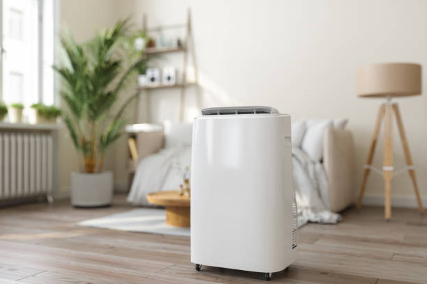 Best Ductless Mini-Split Systems in Edgewood, WA